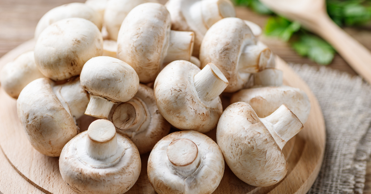 How to Start a Profitable Mushroom Farming Business