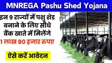 MGNREGA Pashu Shed Apply Online