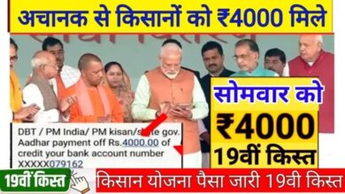 PM Kisan Yojana 19th Kist Status