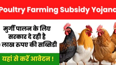 Poultry Farming Subsidy Yojana