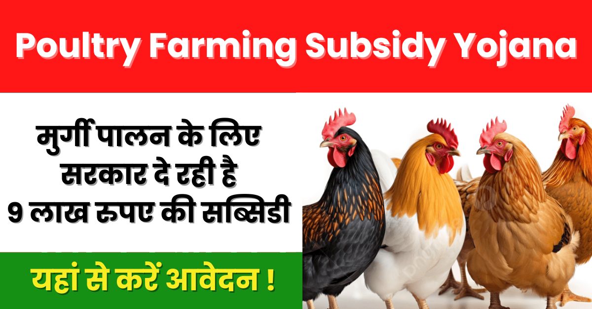 Poultry Farming Subsidy Yojana