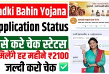 Ladki Bahin Yojana Status