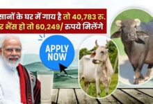 Animal Husbandry